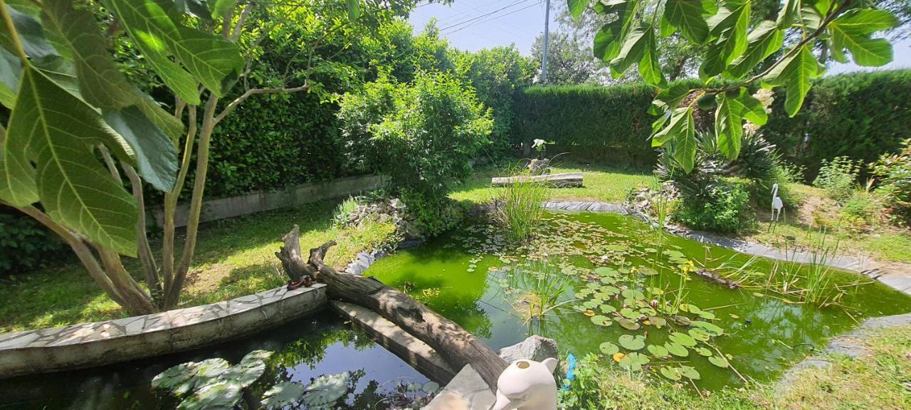 L'Echappee Belle Daire Calmont  Dış mekan fotoğraf