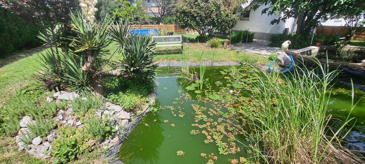 L'Echappee Belle Daire Calmont  Dış mekan fotoğraf